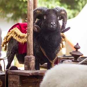 Moutons-sacres-costumes-8